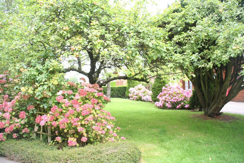 Logis Le Clos Deauville Saint Gatien Exterior photo